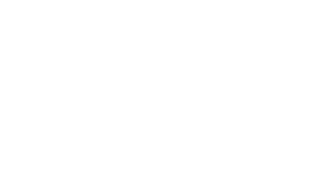 Полюс
